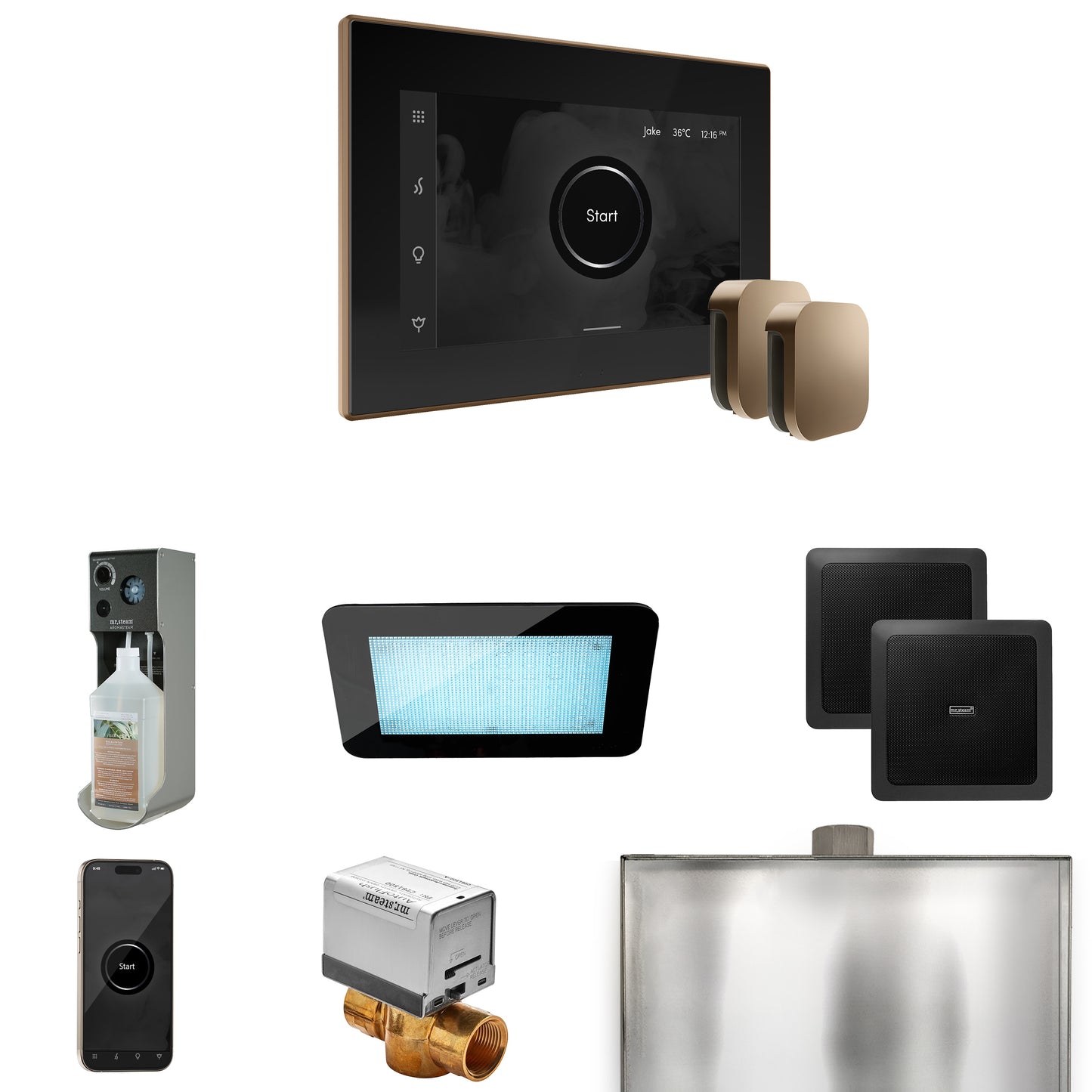 Mr. Steam XDRM2X XDream Max Steam Shower Control Package with iSteamX Control and Steamhead