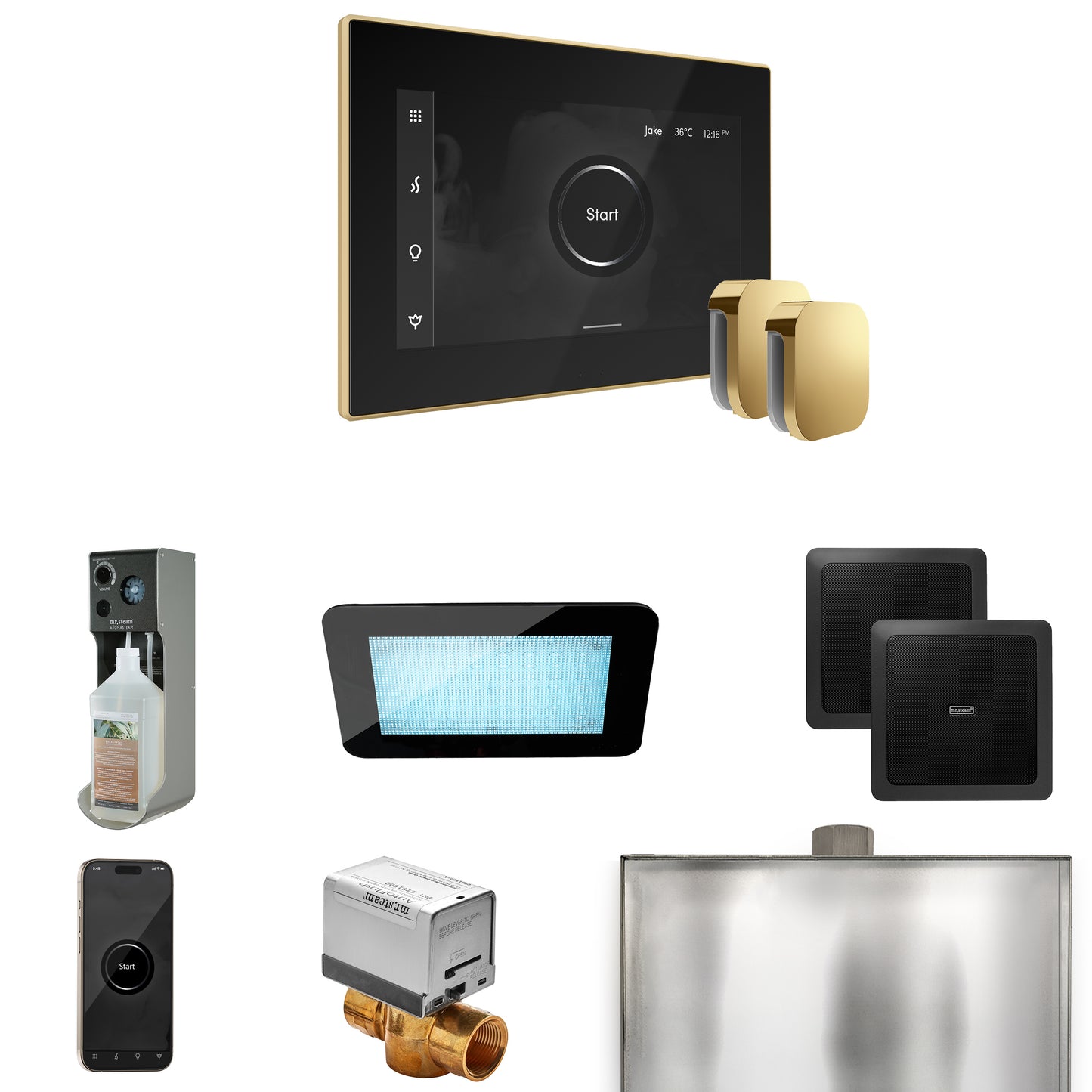 Mr. Steam XDRM2X XDream Max Steam Shower Control Package with iSteamX Control and Steamhead