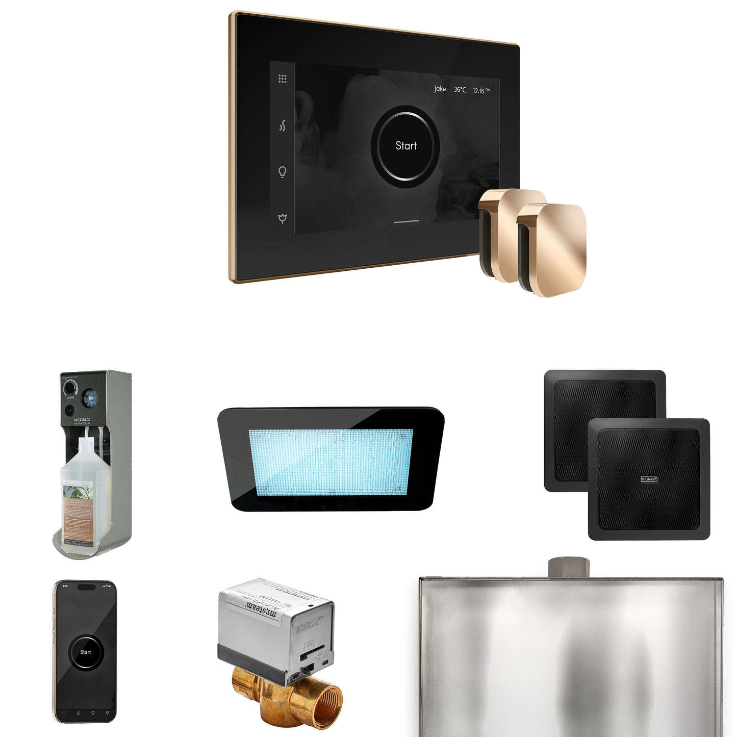 Mr. Steam XDRM2X XDream Max Steam Shower Control Package with iSteamX Control and Steamhead