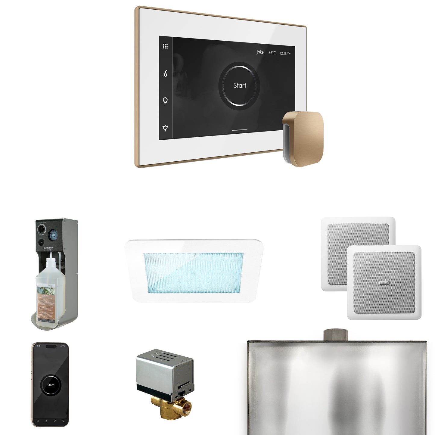 Mr. Steam XDRM2 XDream Steam Shower Control Package with iSteamX Control and Steamhead