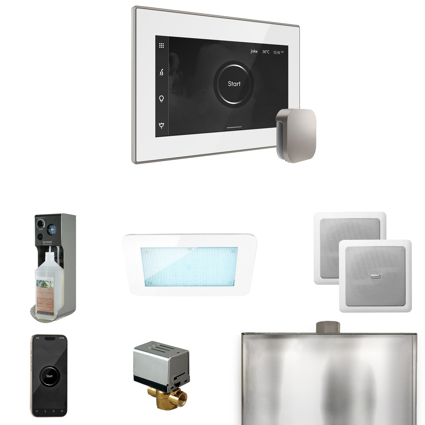 Mr. Steam XDRM2 XDream Steam Shower Control Package with iSteamX Control and Steamhead