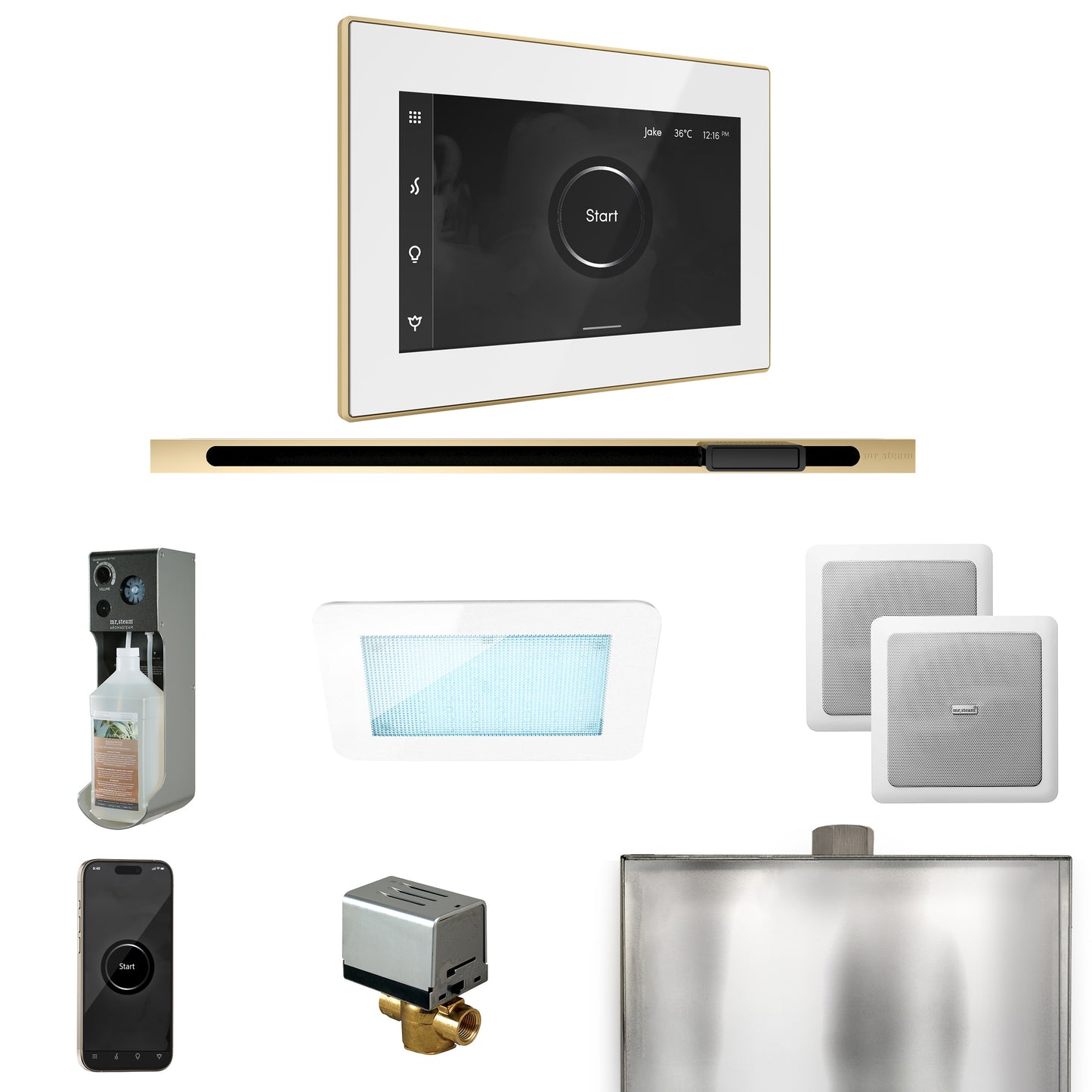 Mr. Steam XDRM2L XDream Steam Shower Control Package with iSteamX Control and Linear Steamhead