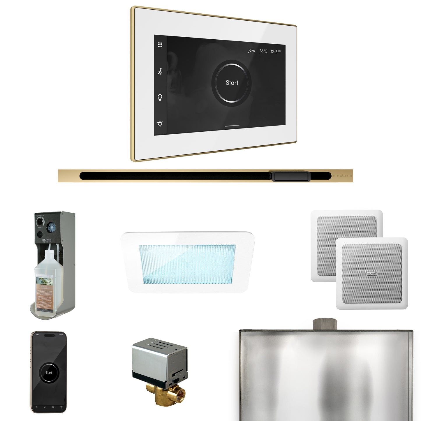 Mr. Steam XDRM2L XDream Steam Shower Control Package with iSteamX Control and Linear Steamhead