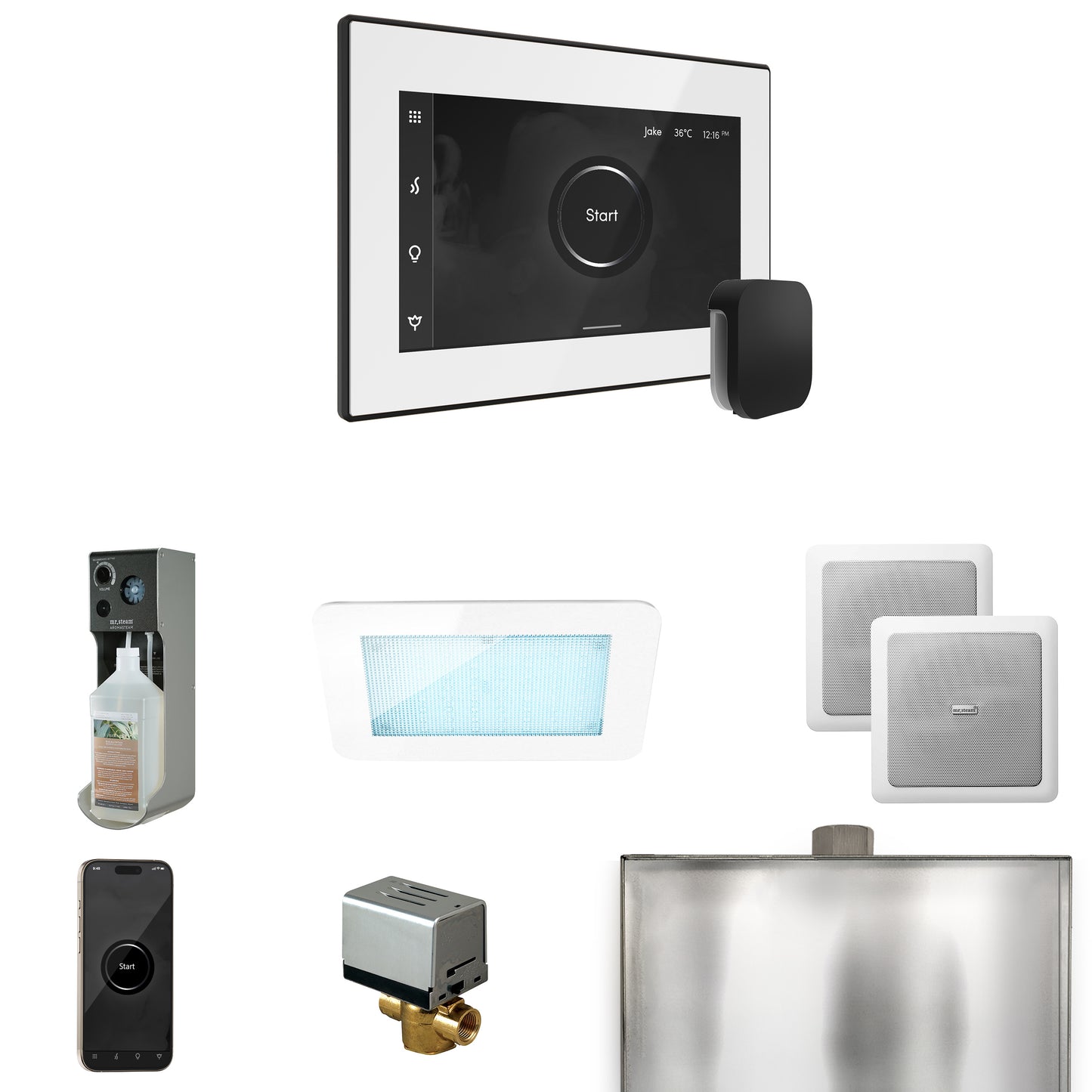 Mr. Steam XDRM2 XDream Steam Shower Control Package with iSteamX Control and Steamhead