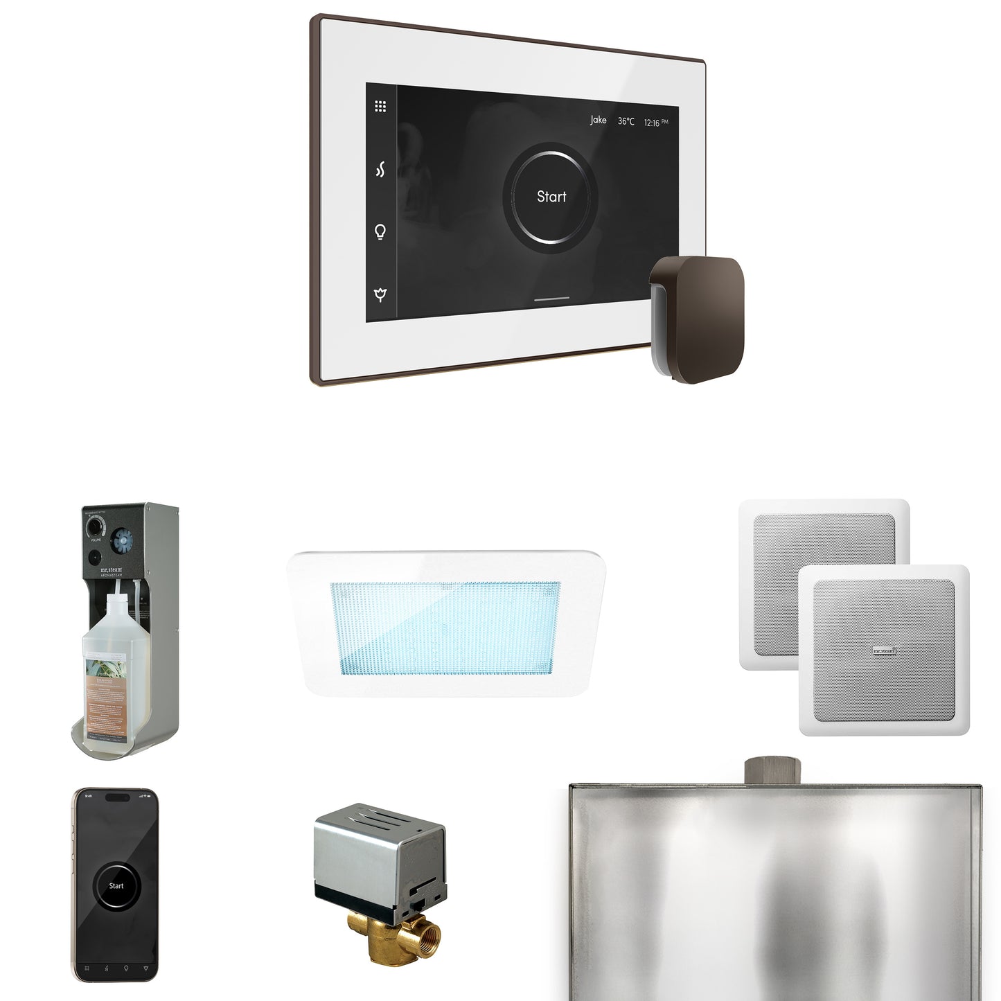 Mr. Steam XDRM2 XDream Steam Shower Control Package with iSteamX Control and Steamhead
