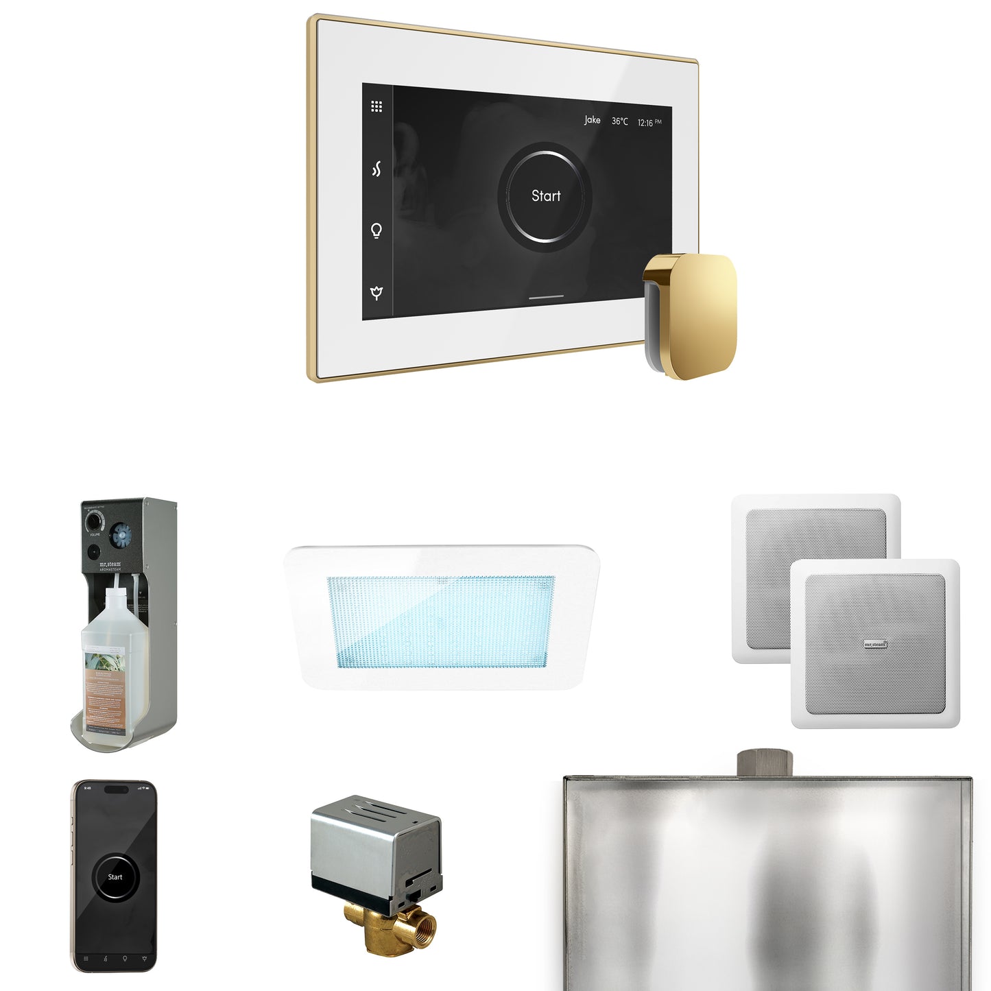 Mr. Steam XDRM2 XDream Steam Shower Control Package with iSteamX Control and Steamhead