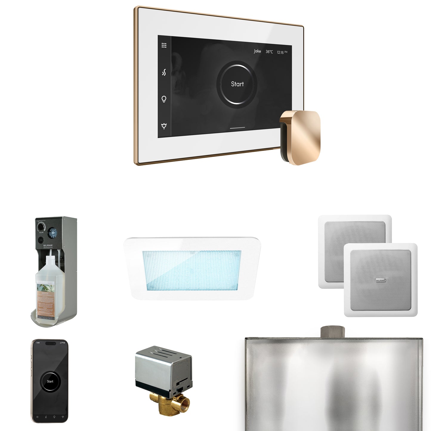Mr. Steam XDRM2 XDream Steam Shower Control Package with iSteamX Control and Steamhead