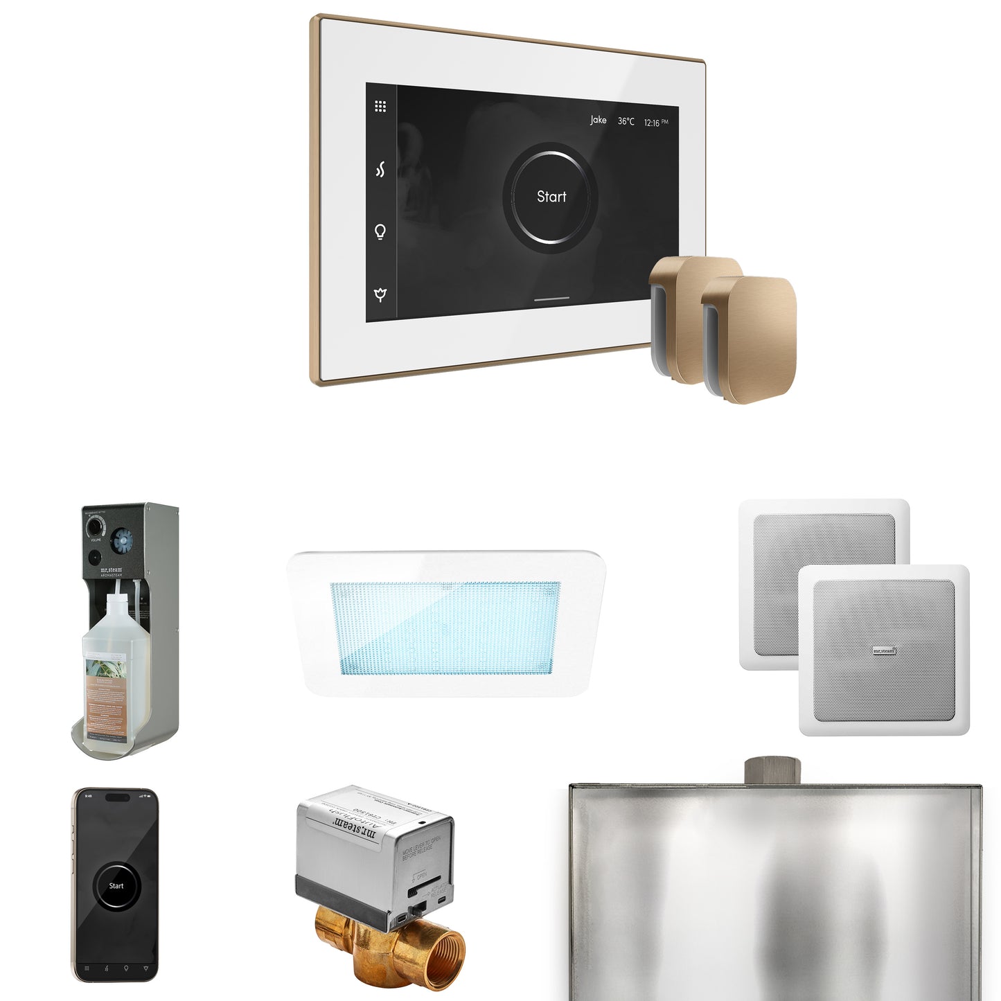 Mr. Steam XDRM2X XDream Max Steam Shower Control Package with iSteamX Control and Steamhead