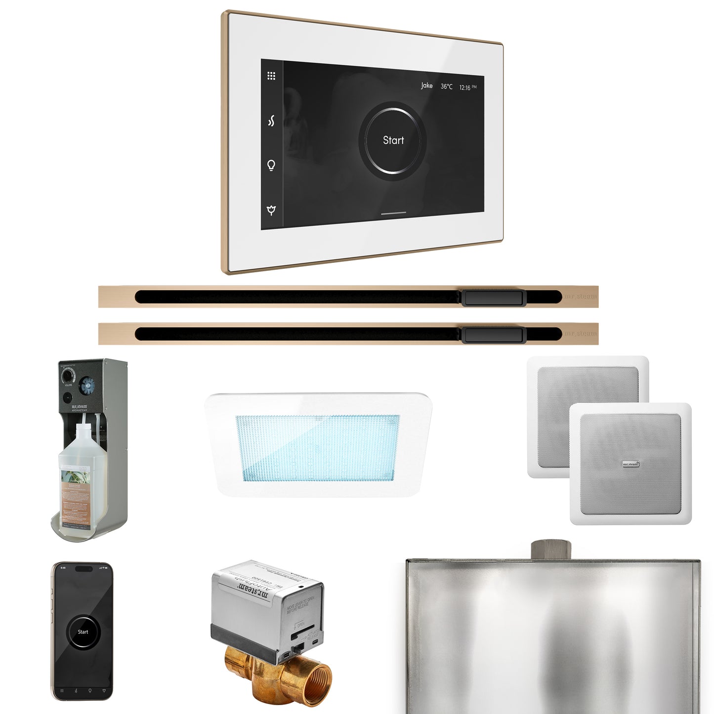 Mr. Steam XDRM2XL XDream Max Steam Shower Control Package with iSteamX Control and Linear Steamhead