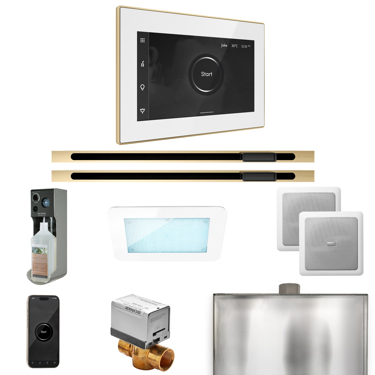 Mr. Steam XDRM2XL XDream Max Steam Shower Control Package with iSteamX Control and Linear Steamhead
