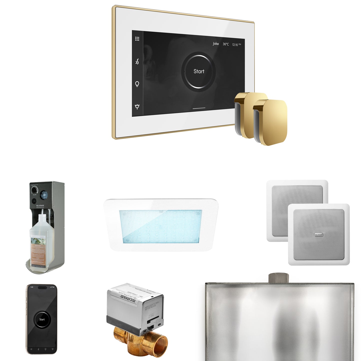 Mr. Steam XDRM2X XDream Max Steam Shower Control Package with iSteamX Control and Steamhead