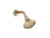 Kallista P25040-00 Script Showerhead With Arm (1.75 Gpm) - Parent
