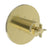 Newport Brass 3-3334TR Tolmin 3/4" Round Thermostatic Trim Plate With Handle - Parent