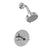 Newport Brass 3-994BP East Linear Balanced Pressure Shower Trim Set