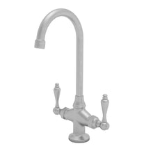 Load image into Gallery viewer, Newport Brass 8081 Nadya Prep/Bar Faucet