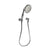Newport Brass 280G Multifunction Hand Shower Set