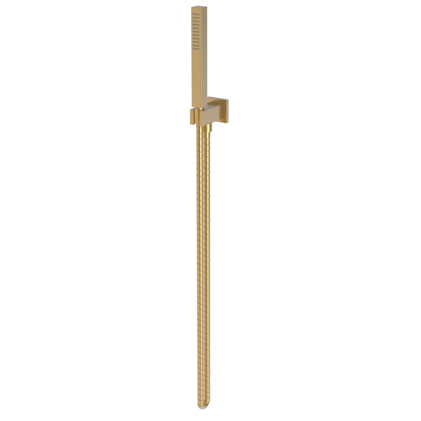 Newport Brass 280P Single Function Hand Shower Set