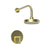Newport Brass 3-3104BP Pavani Balanced Pressure Shower Trim Set - Parent