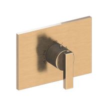 Load image into Gallery viewer, Newport Brass 3-2044TS Secant Rectangular Thermostatic Trim Plate With Handle