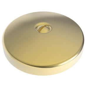 Brasstech 265/01 Faceplate for Waste and Overflow in PVD Forever Brass