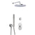 Aquabrass ABSZSFD03 SFD03 Shower Faucet - 2 Way Shared
